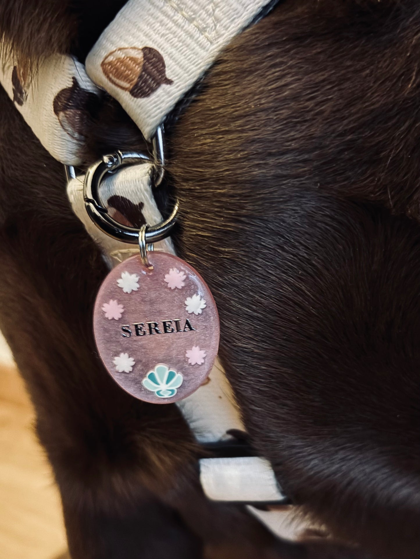 Medalha Sereia