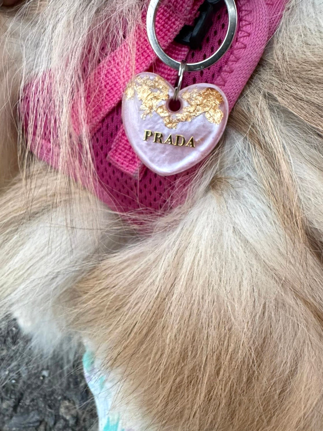Médaille Prada