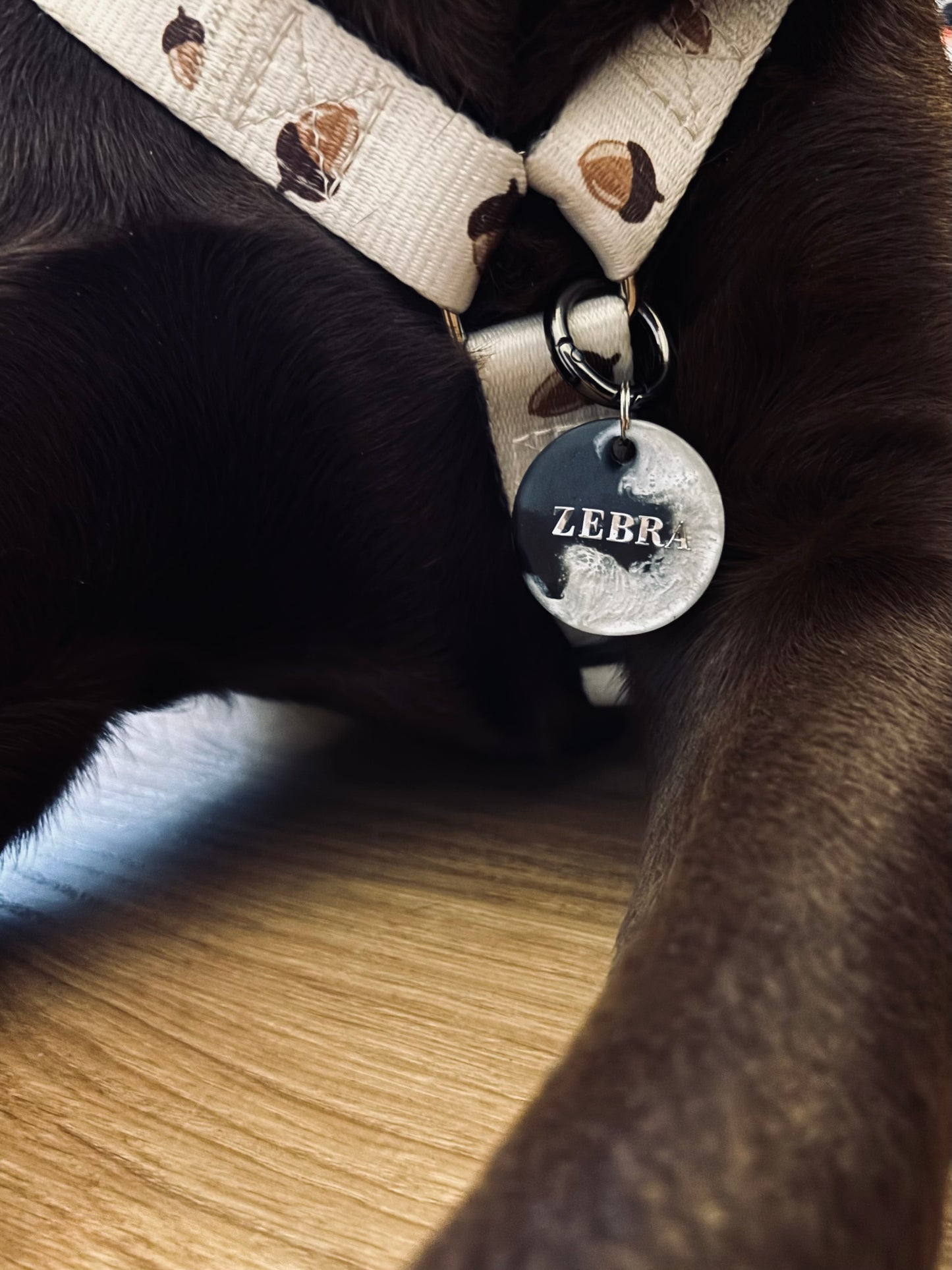 Médaille Zebra