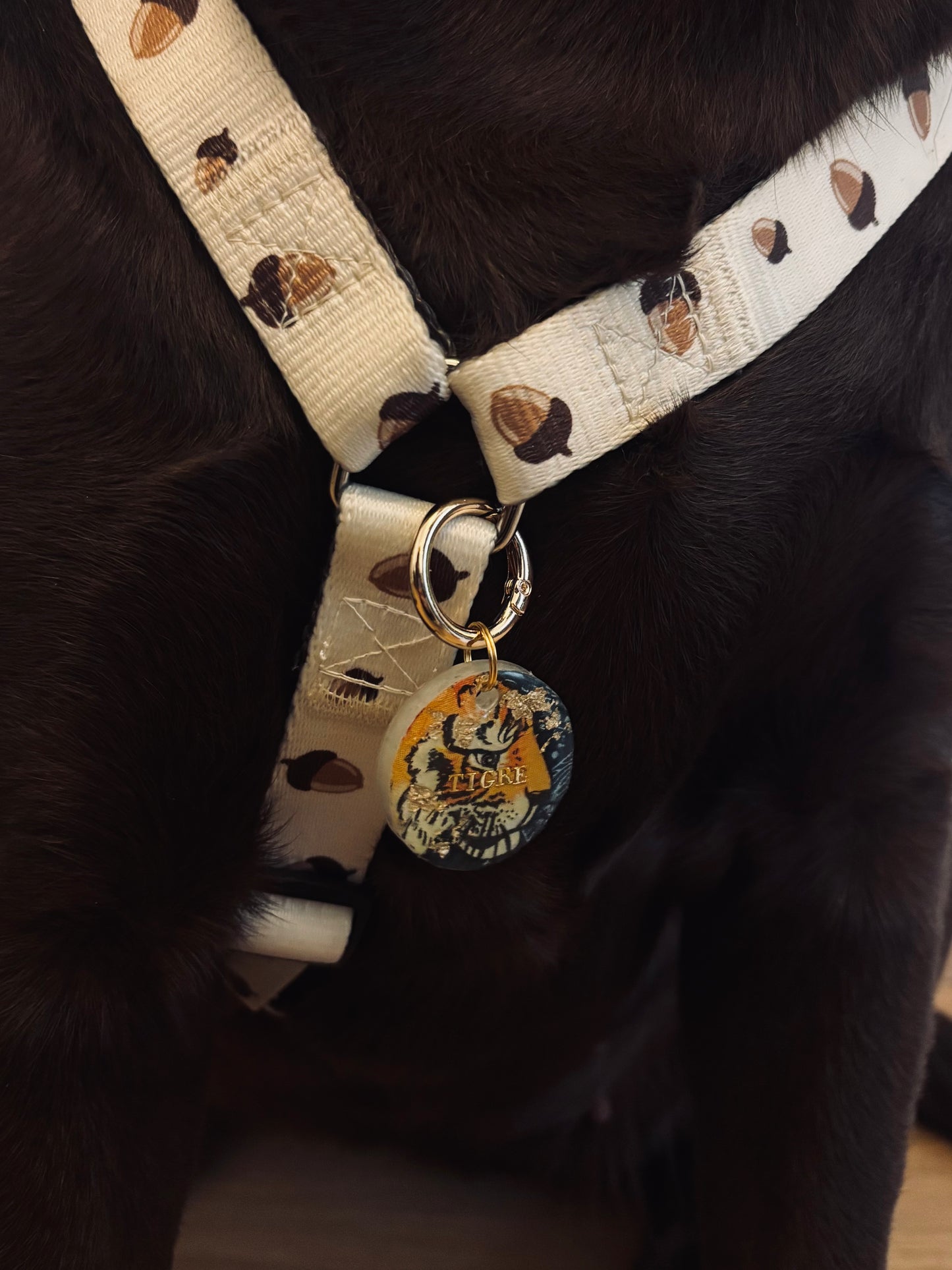Medalha Jungle