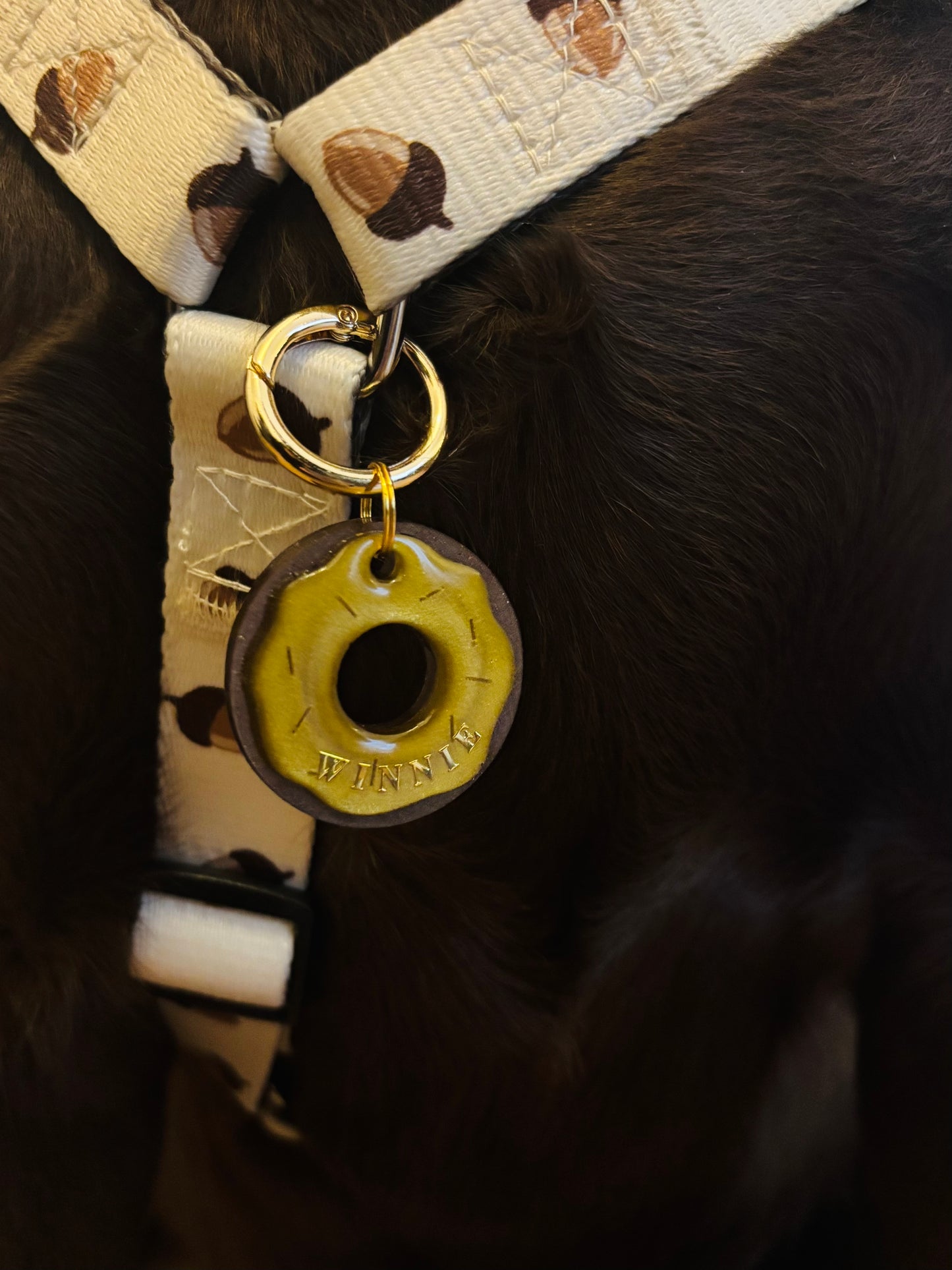 Medalha Winnie